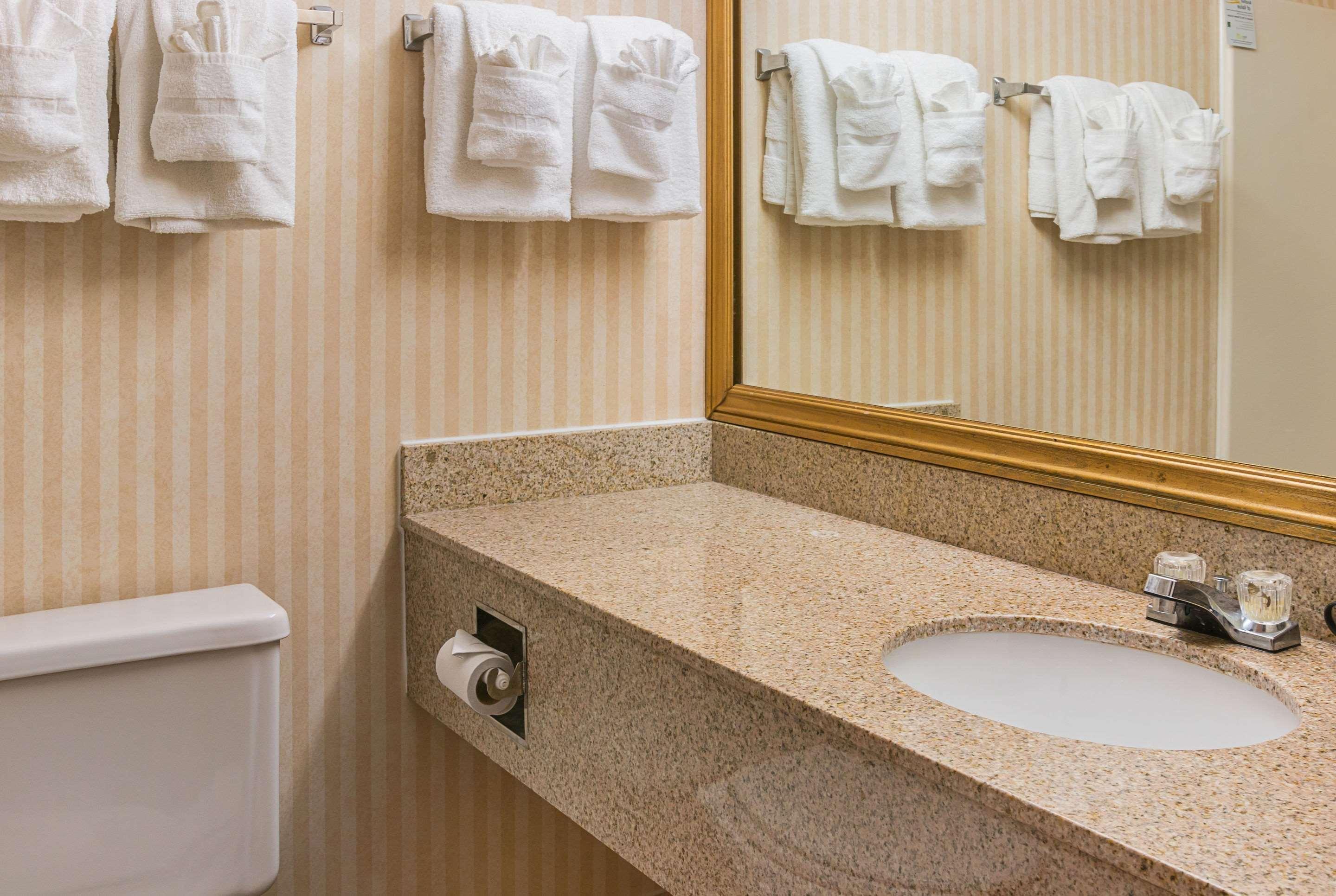 Quality Inn & Suites Detroit Metro Airport Romulus Dış mekan fotoğraf